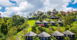 Mẫu homestay
