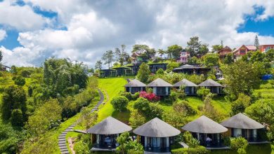 Mẫu homestay