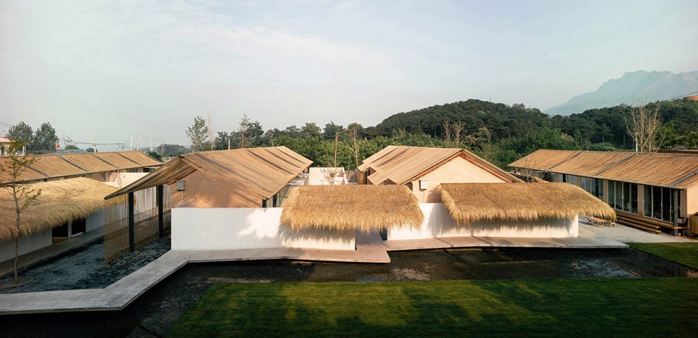 Mẫu homestay sân vườn mái lá