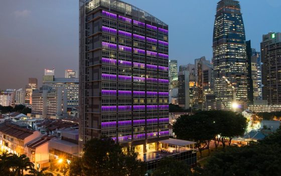 ORCHID HOTEL TP. Ho Chi Minh